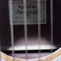 Sepia Crue FG-1N アコースティックギターの画像