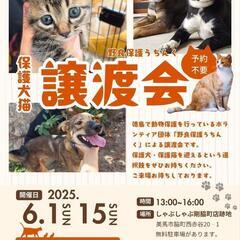 本日