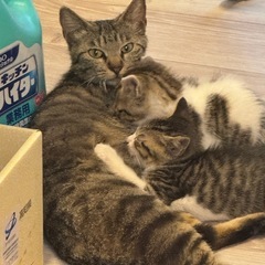 2歳のママと1ヶ月半の男の子兄弟です。