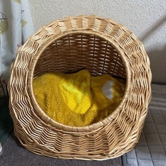 ワンチャン　ハウスの画像