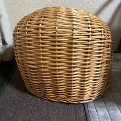 ワンチャン　ハウスの画像