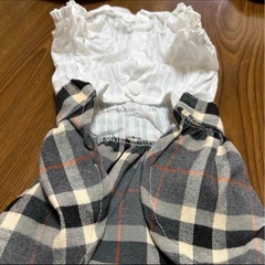 犬の服の画像