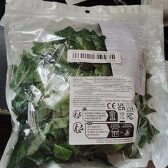 新品未開封品
ソーラーパワー  人工アイビーリーフバインストリングスLEDライト
10m  100 LED
色 暖かい白
の画像