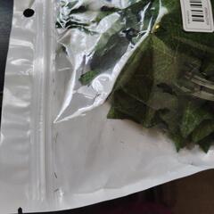 新品未開封品
ソーラーパワー  人工アイビーリーフバインストリングスLEDライト
10m  100 LED
色 暖かい白
の画像