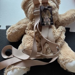クマの画像