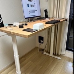 Flexispot フレキシスポット 電動デスク 3万円の大型天...