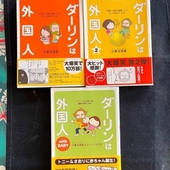 ダーリンは外国人　3冊セット