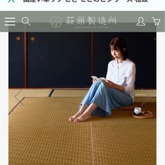 い草　カーペットの画像