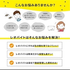 レオバイト50g×2の画像