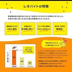 レオバイト50g×2の画像