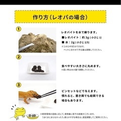 レオバイト50g×2の画像