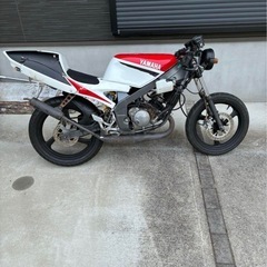 tzr50r 4EU