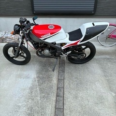 tzr50r 4EUの画像