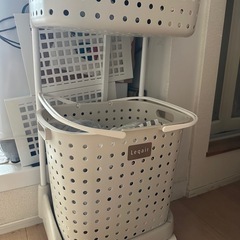 本日処分