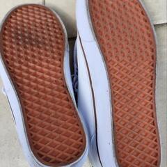 VANS スニーカーの画像