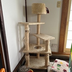 キャットタワー