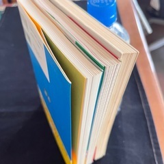 ダーリンは外国人シリーズの海外ルポ版2冊と語学版1冊の画像