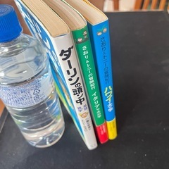ダーリンは外国人シリーズの海外ルポ版2冊と語学版1冊の画像