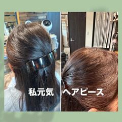 自然すぎてバレない！私元気のヘアピース、アロマンプルーフで…