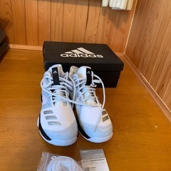 adidasバスケットシューズ23㎝未使用　自宅保管品の画像