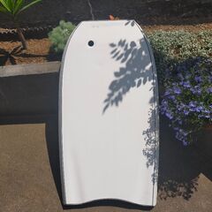 みんなでボディーボードの画像