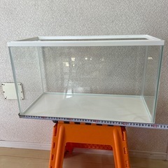 水槽