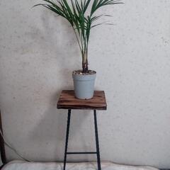 アイアンスツール、花台