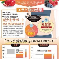 【新品】カロリンピュア サプリ 30日分 肥満気味の方の体重 体脂肪の減少を助けるの画像