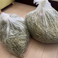 一番狩り チモシー 大量 おまとめ