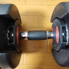 24kg可変式ダンベル1台の画像