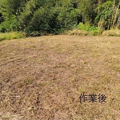 草刈り、剪定