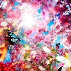 🌟(#^.^#)🎵友達募集中😺🏖️🥳🌟