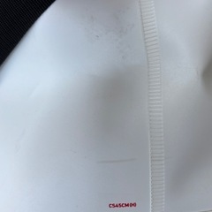 ダイワ　バッカンの画像