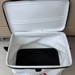 ダイワ　バッカンの画像