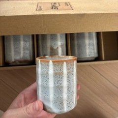 湯呑み五つセット「新品未使用」