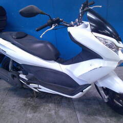 HONDA PCX150 白 エンジン始動確認 自賠責保険で乗れ...