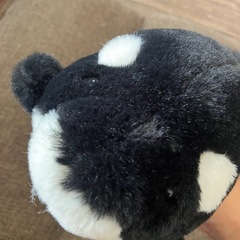 スマシーワールド　しゃちぬいぐるみの画像