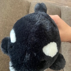 スマシーワールド　しゃちぬいぐるみの画像