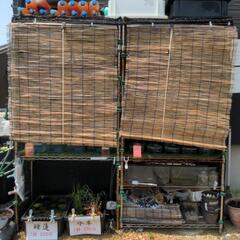 メダカの無人販売をやっています。〜特売開催中〜【7月21日更新】の画像
