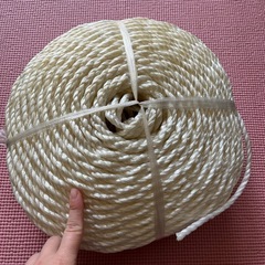 ひもの画像