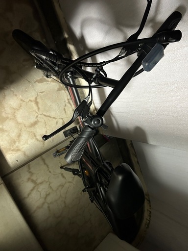 専用 折り畳み電動自転車