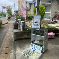 無人100円無農薬
野菜