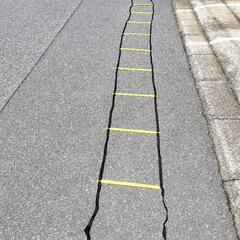 ラダー5m　トレーニング