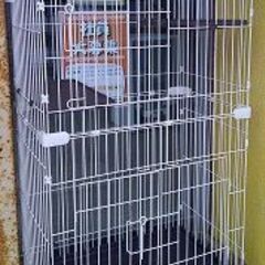 ID:20113048　キャットゲージ