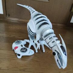 リサイクル品と小さな物　紙類鉄類と交換してください