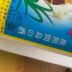 泡波　 の画像