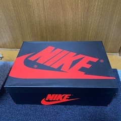 AIR JORDAN 1 パイングリーン　28.5cmの画像