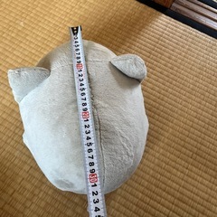 ねむネコぬいぐるみの画像