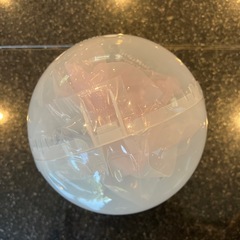 【新品未開封/3割引】いきもの大図鑑アドバンスオオカマキリとショウリョウバッタの画像