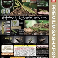 【新品未開封/3割引】いきもの大図鑑アドバンスオオカマキリとショウリョウバッタの画像
